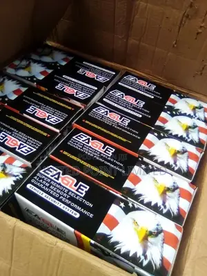 Eagle Security