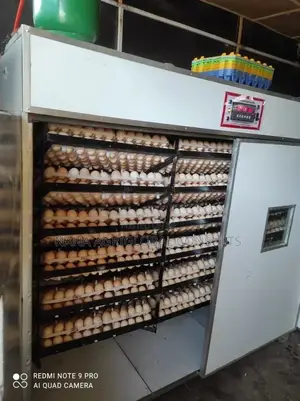 Incubator Machine