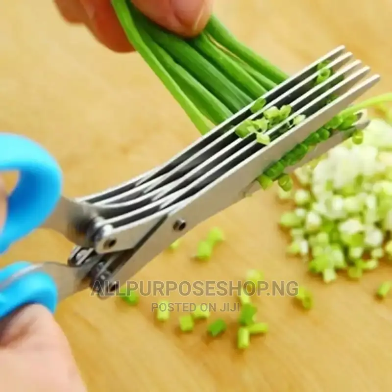Multi Blades Kitchen Siccors