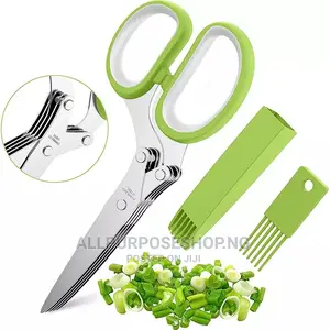 Multi Blades Kitchen Siccors