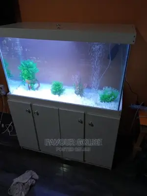 Aquarium Design