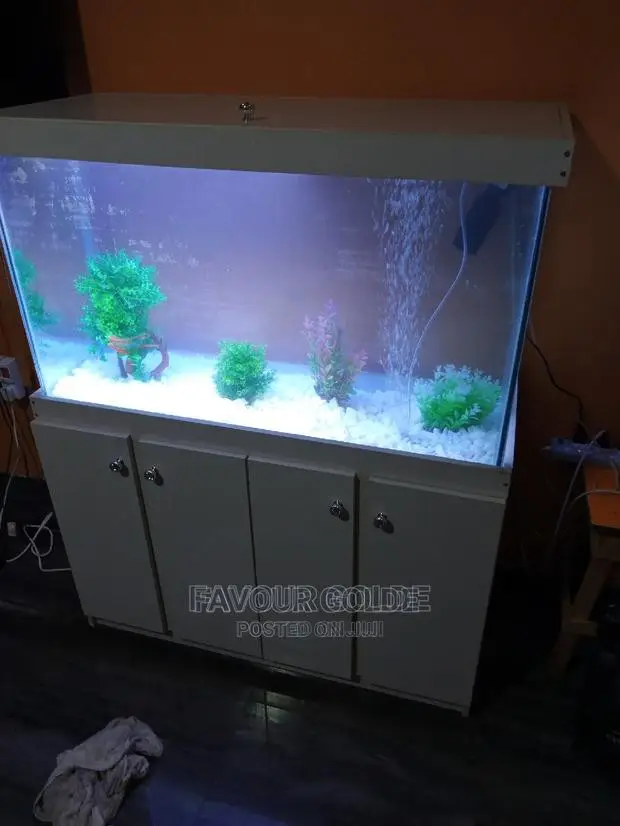 Aquarium Design