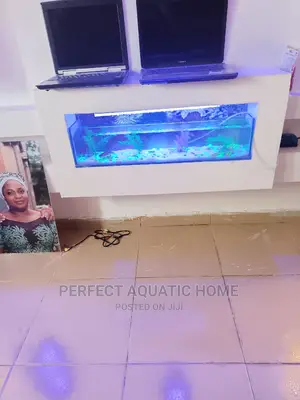 Aquarium for Tv Console