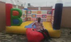 Bouncing Castle With Blower for Both Adults and Children