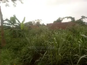 3 Plots of Land Along Owutu Ishawo Road via Agric B / St Ikd
