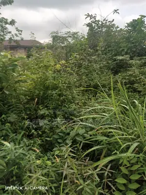 A Well Table Land Fenced Together at Around Adoration Enugu