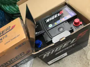 High Performance Battery 75ahs Regel