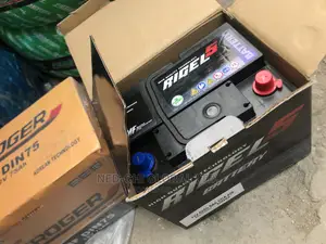 High Performance Battery 75ahs Regel