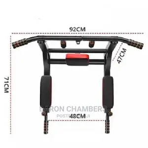 Wall Chin Up Bar