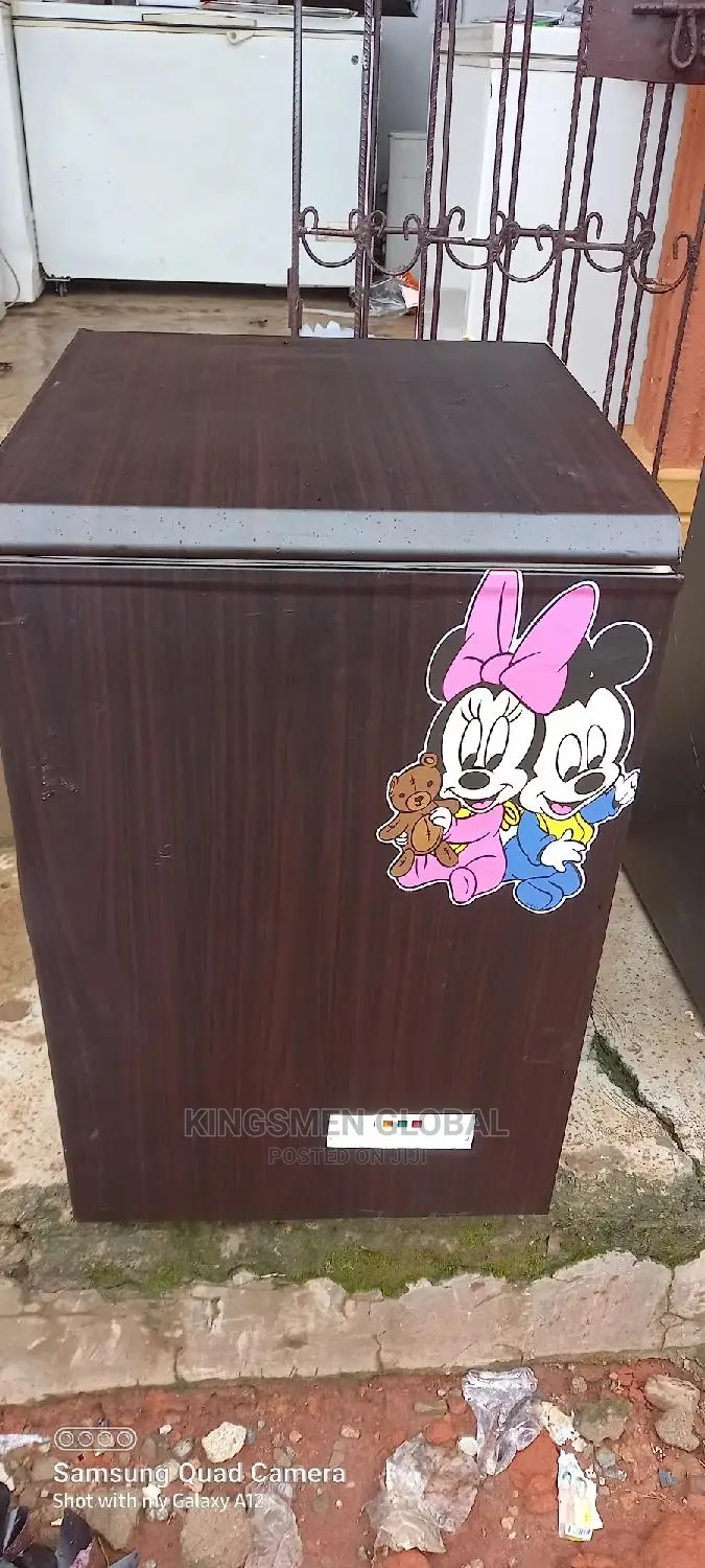 Chest Freezer Made in Germany With High Quality