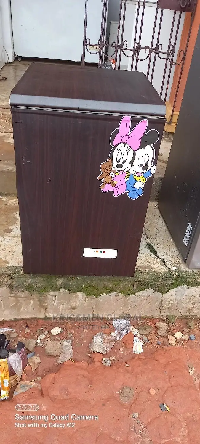 Chest Freezer Made in Germany With High Quality