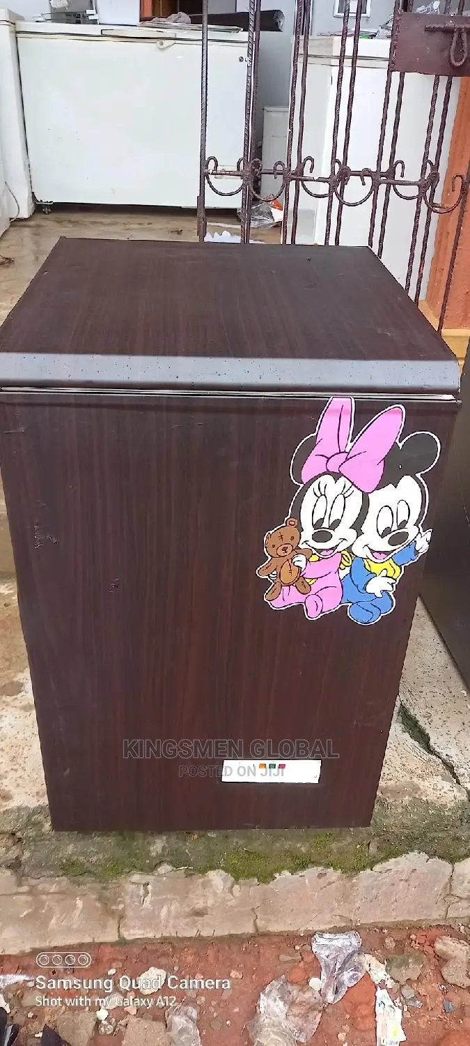 Chest Freezer Made in Germany With High Quality