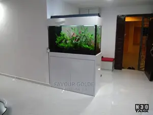 Aquarium Interior