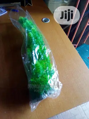 Aquarium Plant