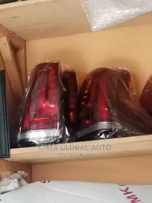 Rear Light Gx460 2020 Model Available.