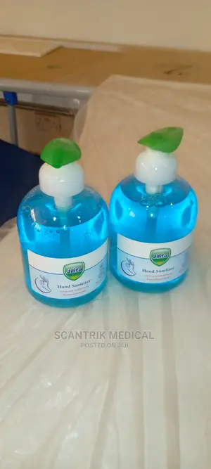 Portable Hand Sanitizer Hygiene