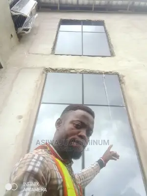 Aluminum Transome Windows With Burglary