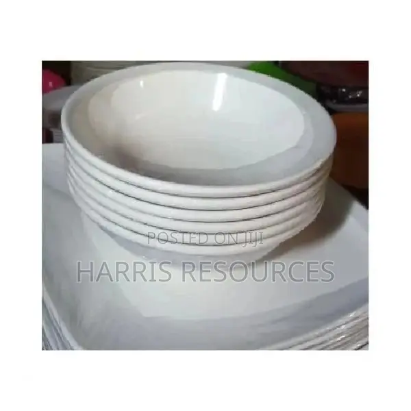 18 Pieces Unbreakable Plastic Ceramic Curved and Flat Plates