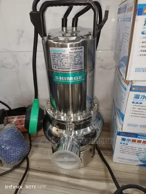 Stainless Steel Fountain Pump