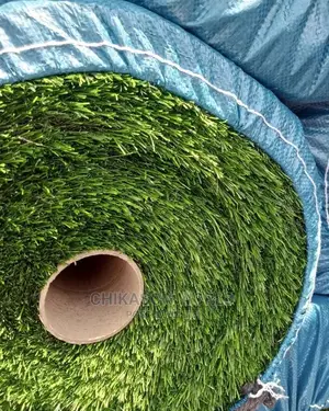 Best Synthetic Grass Carpet