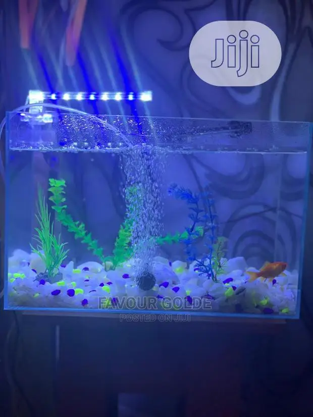 Table Top Aquarium Design