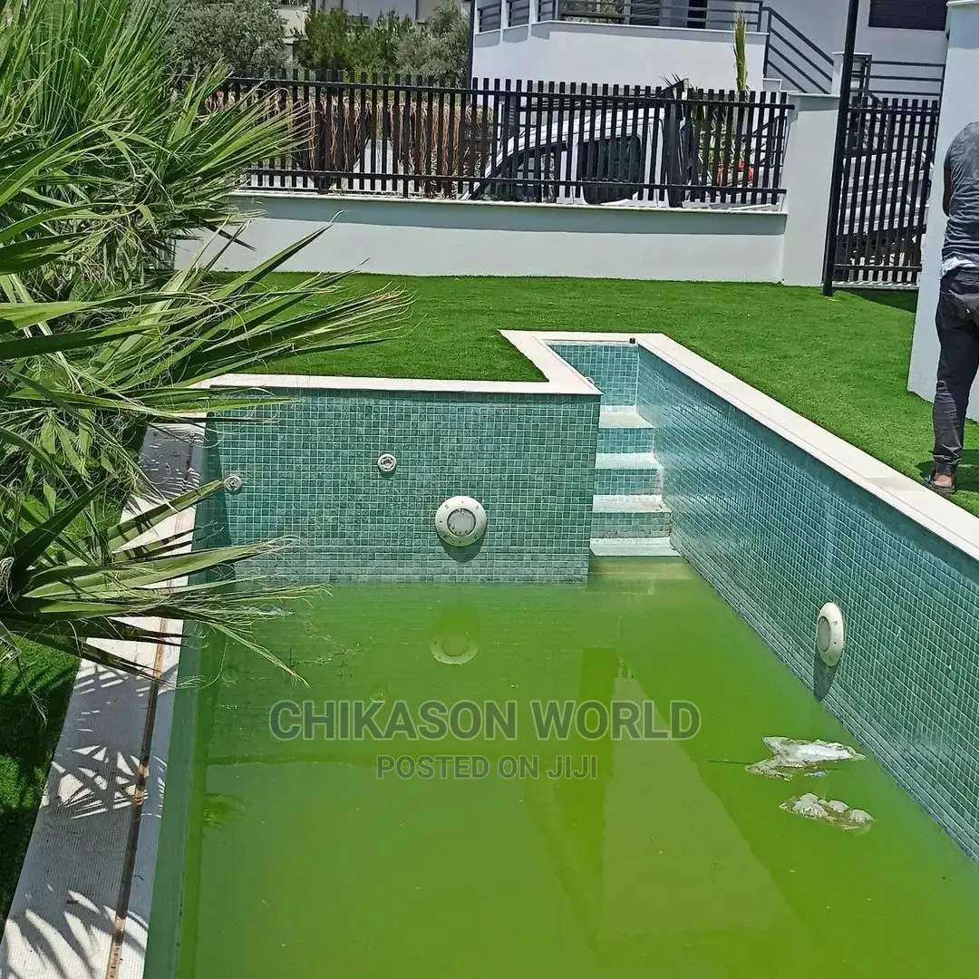 Best Synthetic Grass Carpet