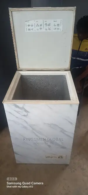 High Quality Chest Freezer Made in Germany With Copper Coil