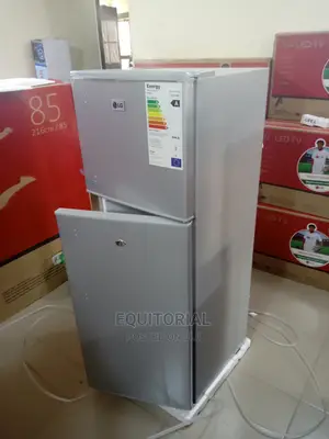 LG Double Door Refrigerator CLG-250cl-Silver