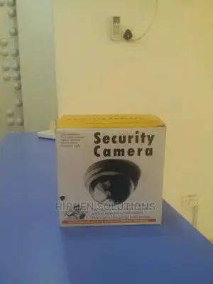 Indoor/Outdoor Dummy Smart Surveillance Camera Home Dome