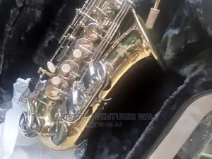 Professional Alto Saxaphone Hallmark