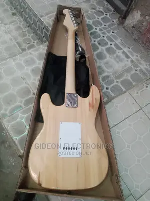 Professional Electric Lead Guitar