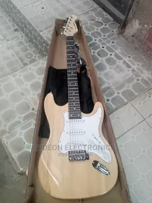 Professional Electric Lead Guitar