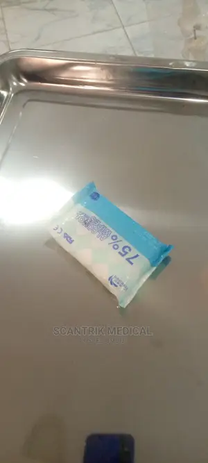 Disinfectant Wipes (75% Alcohol)