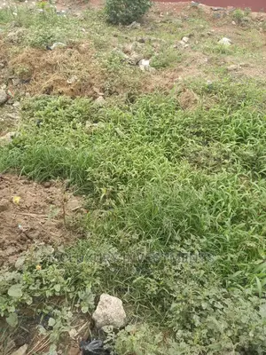 670sqm Land for Sale
Going for the 
Price: 150m
At Ologolo