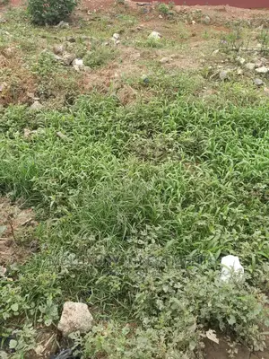 690sqm Land for Sale For 90m At Royal Garden Estate, Ajah