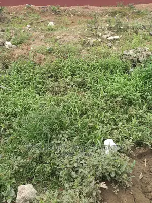 Land for Salefor at Ikate Elegushi