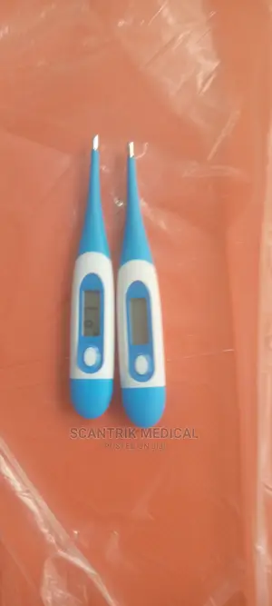 Portable Digital Infrared Baby Thermometer
