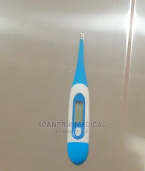 Portable Digital Clinical Baby Thermometer