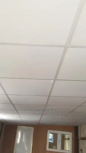Ceiling Supplier N Installer