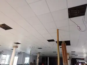 Ceiling Supplier N Installer
