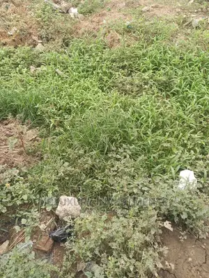 950sqm Commercial Plot for 280m Located at Second Toll Gate