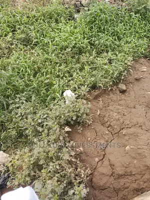 Commercial Land for Sale
 Size: 1200sqm
Title: Gov Consent