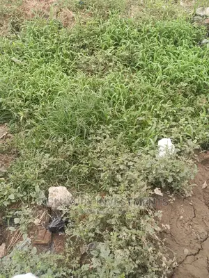Hot 650sqm of Land Available for Sale at Ologolo for N135M