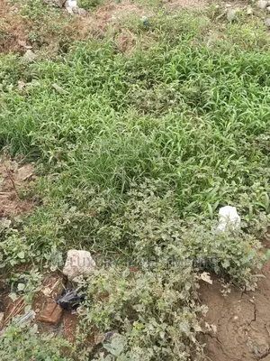 A Beautiful Fenced and Gated Land at Lekki Phase 1 for Sale