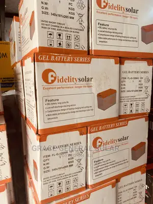 Fidelity 120A 12v Battery