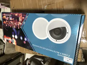 Bluetooth Speakers Ceiling