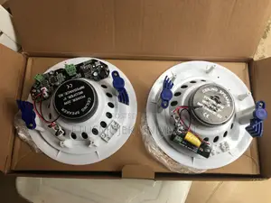20wstts Bluetooth Ceiling Speaker