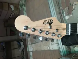 Martin Professional Lead Guitar
