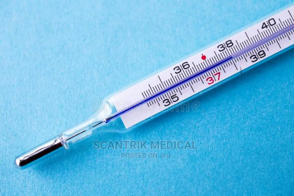 Analog Mercury Thermometer for Temperature