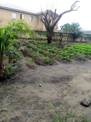 1 Plot Of Land For Sell In Dry Land